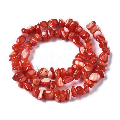 Natural Trochid Shell/Trochus Shell Bead Strands SSHEL-N034-78-C04-1