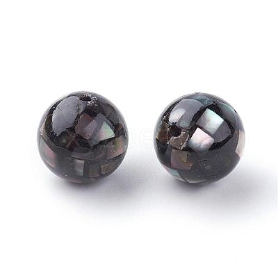 Natural Black Lip Shell Beads SSHEL-Q298-16mm-10-1