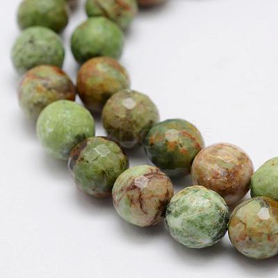 Natural Green Opal Beads Strands G-K209-05A-10mm-1
