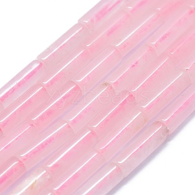 Natural Rose Quartz Beads Strands G-F631-D05-1