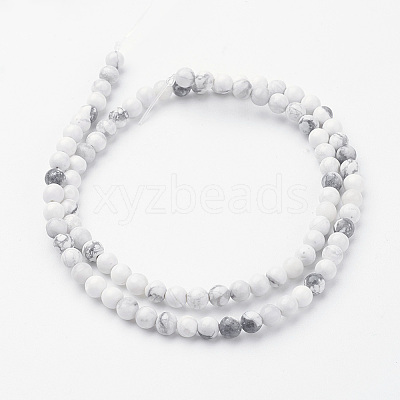 Natural Howlite Bead Strands G-G735-66-4mm-1
