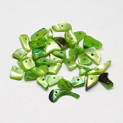 Dyed Natural Shell Nuggets Chips Beads BSHE-O007-04E-1