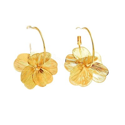 Alloy Hoop Earrings FS-WG33705-01-1