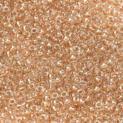 MIYUKI Round Rocailles Beads X-SEED-G008-RR0234-1