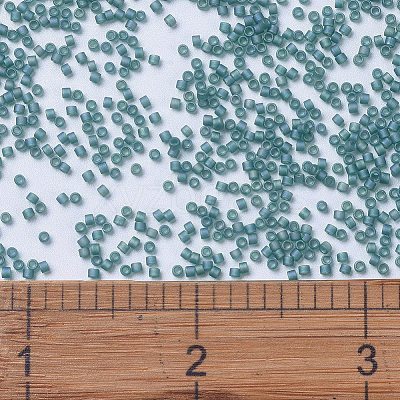 MIYUKI Delica Beads X-SEED-J020-DB1283-1