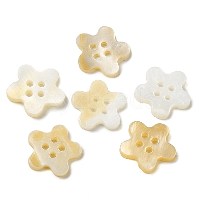 4 Hole Natural Freshwater Shell Buttons SHEL-K006-22-1