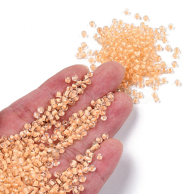 8/0 Transparent Inside Colours Glass Seed Beads SEED-R051-09B-02-1