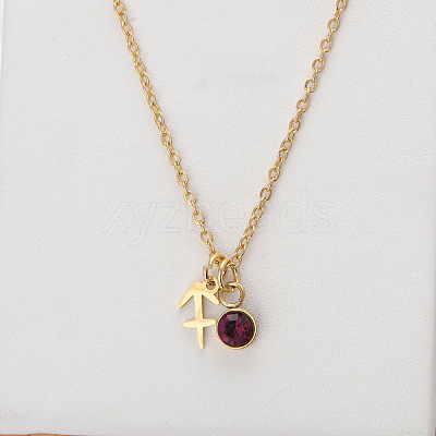 304 Stainless Steel Rose Rhinestone Birth Stone Constellation Pendant Necklaces FS-WG76580-02-1