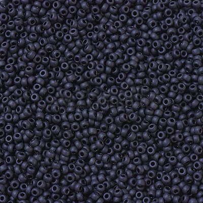 MIYUKI Round Rocailles Beads X-SEED-G007-RR0401F-1