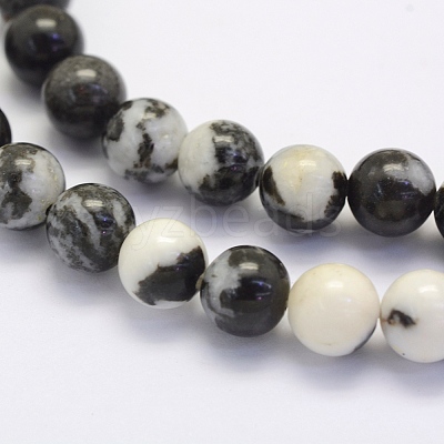 Natural Black Zebra Jasper Beads Strands G-G697-F02-6mm-1