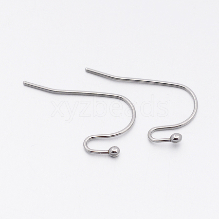 Tarnish Resistant 304 Stainless Steel Earring Hooks STAS-E074-44-1