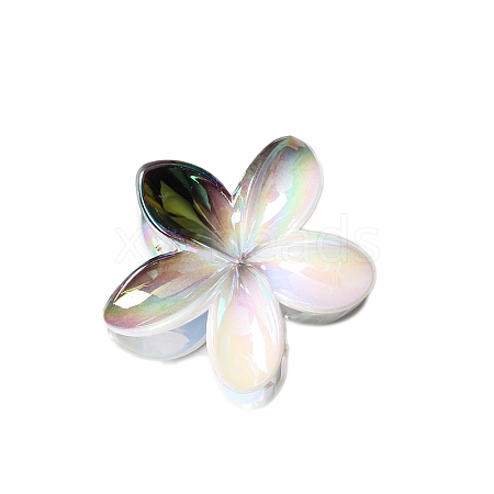 Resin Claw Hair Clips PW-WG93676-02-1