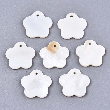 Natural Freshwater Shell Charms SHEL-S276-116-1