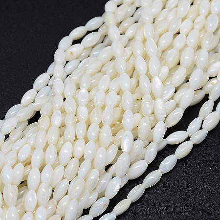 Dyed Natural Shell Beads Strands BSHE-E023-01C-1