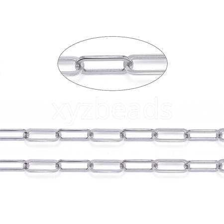 Non-Tarnish 3.28 Feet 304 Stainless Steel Paperclip Chains X-CHS-F011-01A--P-1