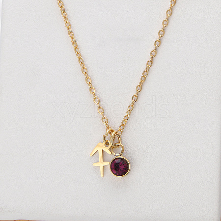 304 Stainless Steel Rose Rhinestone Birth Stone Constellation Pendant Necklaces FS-WG76580-02-1