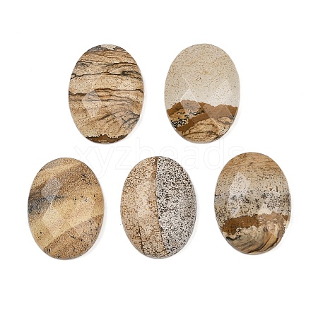 Natural Picture Jasper Cabochons G-Q186-01E-1