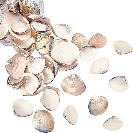 Clam Shell Beads SSHEL-NB0001-11-1