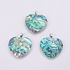 Abalone Shell/Paua Shell Pendants SSHEL-L008-30P-1