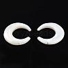 Natural White Shell Connector Charms SSHEL-N034-159-1