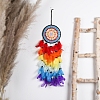 Woven Web/Net with Feather Wall Hanging Decorations PW-WG87714-01-4