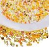 2 Bags Imitation Artificial Crystal Glass Beads GLAA-SZ0001-95A-04-1