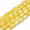 Natural Freshwater Shell Beads Strands SHEL-N003-25-B05-1