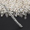 TOHO 8/0 Round Beads X-SEED-TR08-0021-4