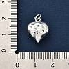 925 Sterling Silver Pendants FIND-Z069-01S-4