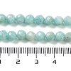 Natural Amazonite Beads Strands G-J400-E11-04-5