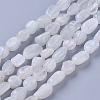 Natural White Moonstone Beads Strands G-P433-16-2