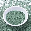 MIYUKI Delica Beads SEED-MY11-DB1171-2