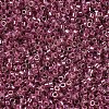 MIYUKI Delica Beads X-SEED-J020-DB0283-3