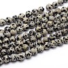 Natural Dalmatian Jasper Round Bead Strands G-J303-19-10mm-1