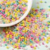 Opaque Colours Luster Glass Seed Beads SEED-A030-09D-1
