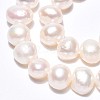 Natural Cultured Freshwater Pearl Beads Strands PEAR-N014-06E-02-4