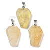 Natural Mixed Stone Pendants G-G004-06B-M02-2