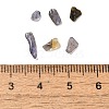 Natural Iolite Beads Chip Beads G-Q193-10C-3