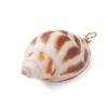 Natural Spiral Shell Pendants PALLOY-JF02949-4