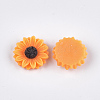 Resin Cabochons X-CRES-T010-60-3