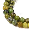 Natural Serpentine Beads Strands G-G829-06-6mm-4