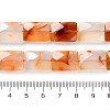 Natural Agate Beads Strands G-H024-G01-01-5