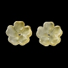 Dyed & Heated Gradient Color Glass Bead Cap GLAA-D307-01J-1