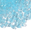 Transparent Acrylic Beads MACR-S373-95-B15-1