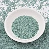 MIYUKI Delica Beads SEED-J020-DB2313-2
