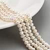 Natural Cultured Freshwater Pearl Beads Strands PEAR-C003-17B-2