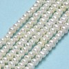 Natural Cultured Freshwater Pearl Beads Strands PEAR-A005-20-01-2