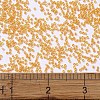 MIYUKI Delica Beads SEED-MY11-DB2045-4