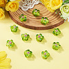 10Pcs Handmade Lampwork Beads LAMP-TADJ0001-01H-5