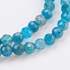 Natural Apatite Beads Strands G-F568-077-3mm-3